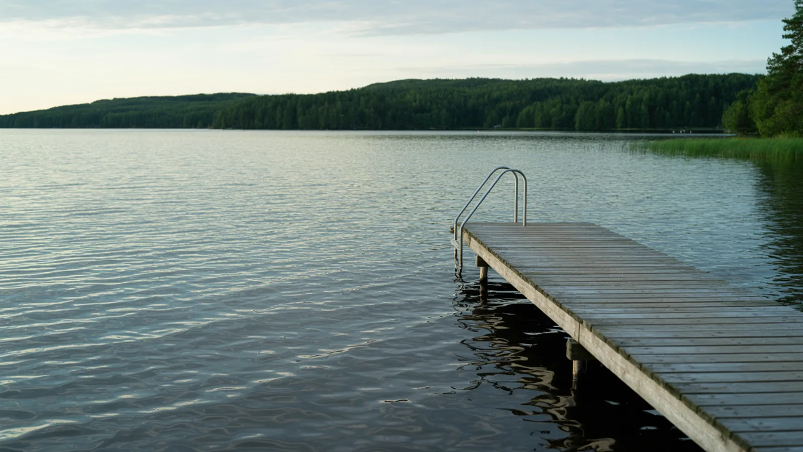 A wooden jetty with a swim ladder into a calm lake on a summer evening